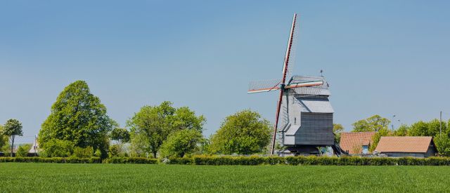 Moulins à vent d'Hondschoote